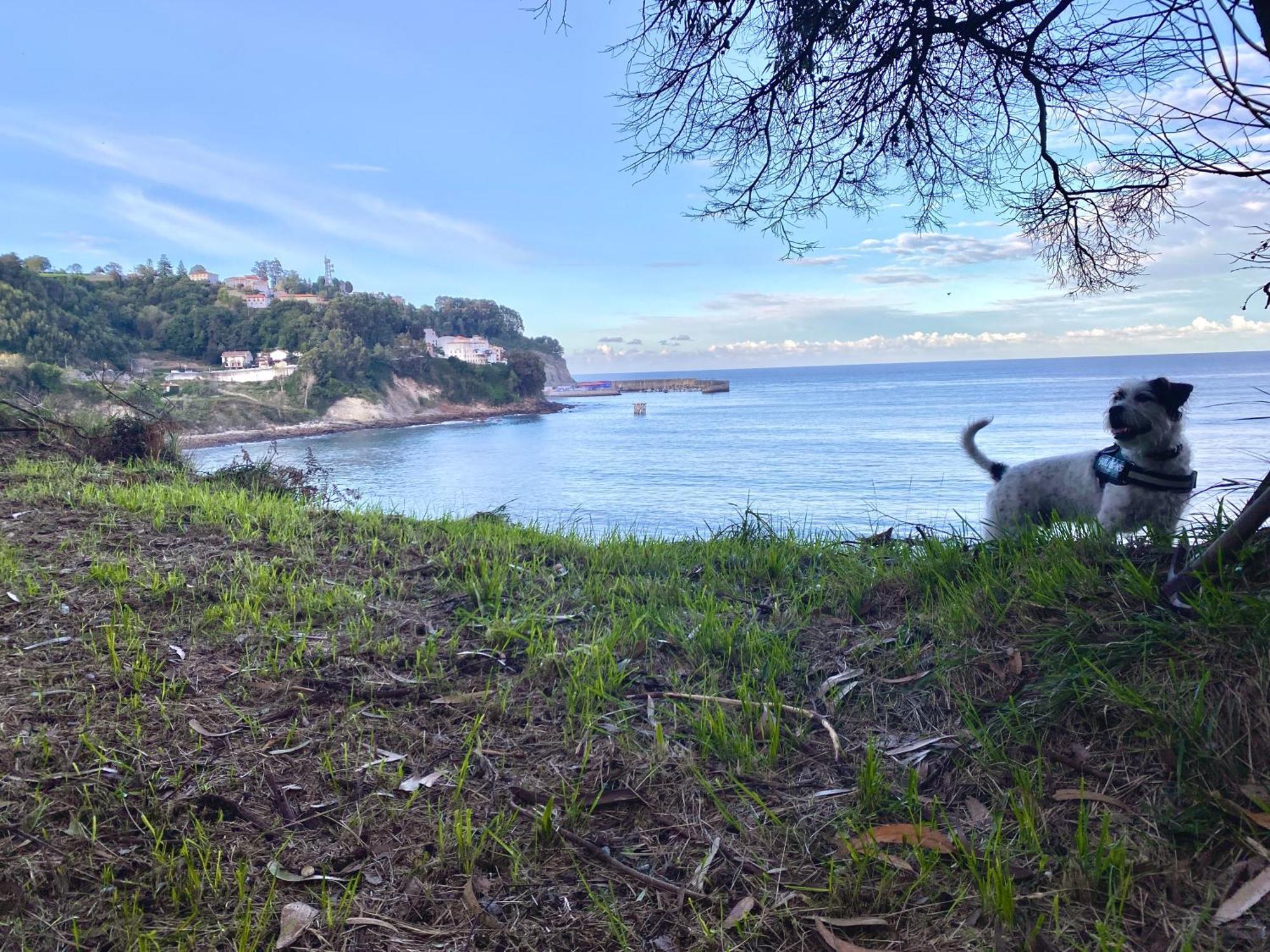 El Apartamentin De Lastres Bagian luar foto